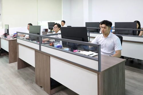 谢岗文旅发展正式揭牌，商业综合体管理服务助力区域发展加速键